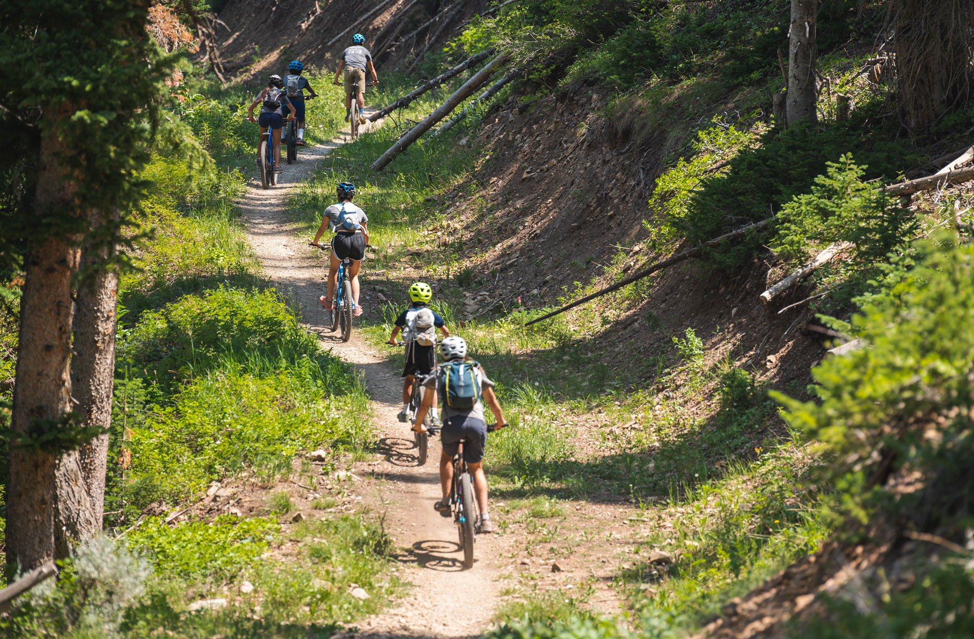Summer Trails Overview Mountain - IMG7219 