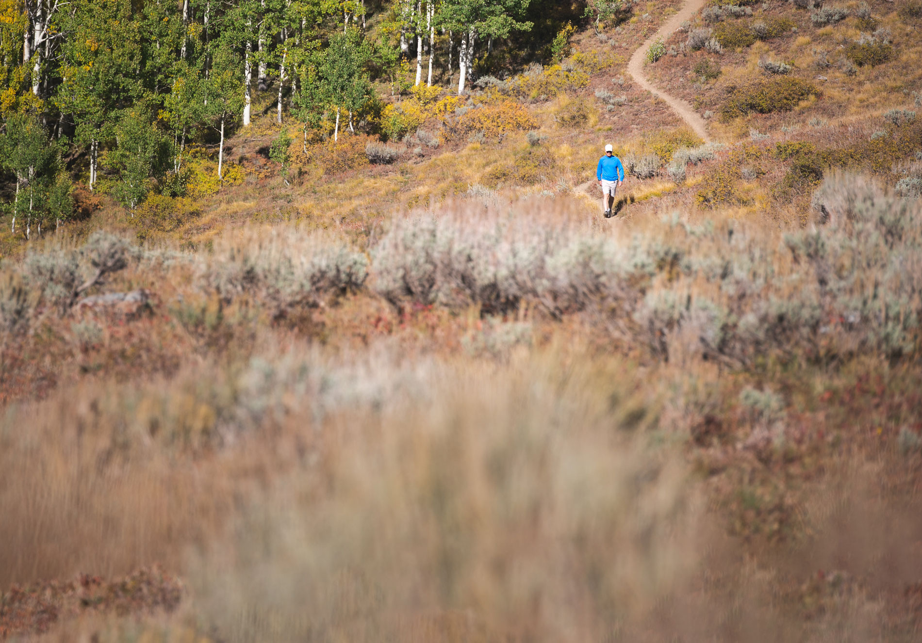 Mountain Trails Foundation Park City, Utah