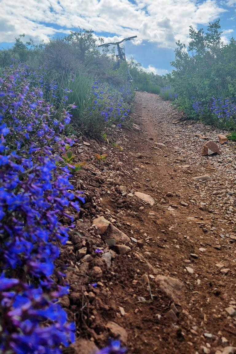 PEOPLE OF THE TRAILS Mountain - Unnamed 49 